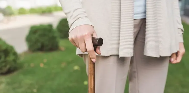 Physical Therapy & Walking Aids